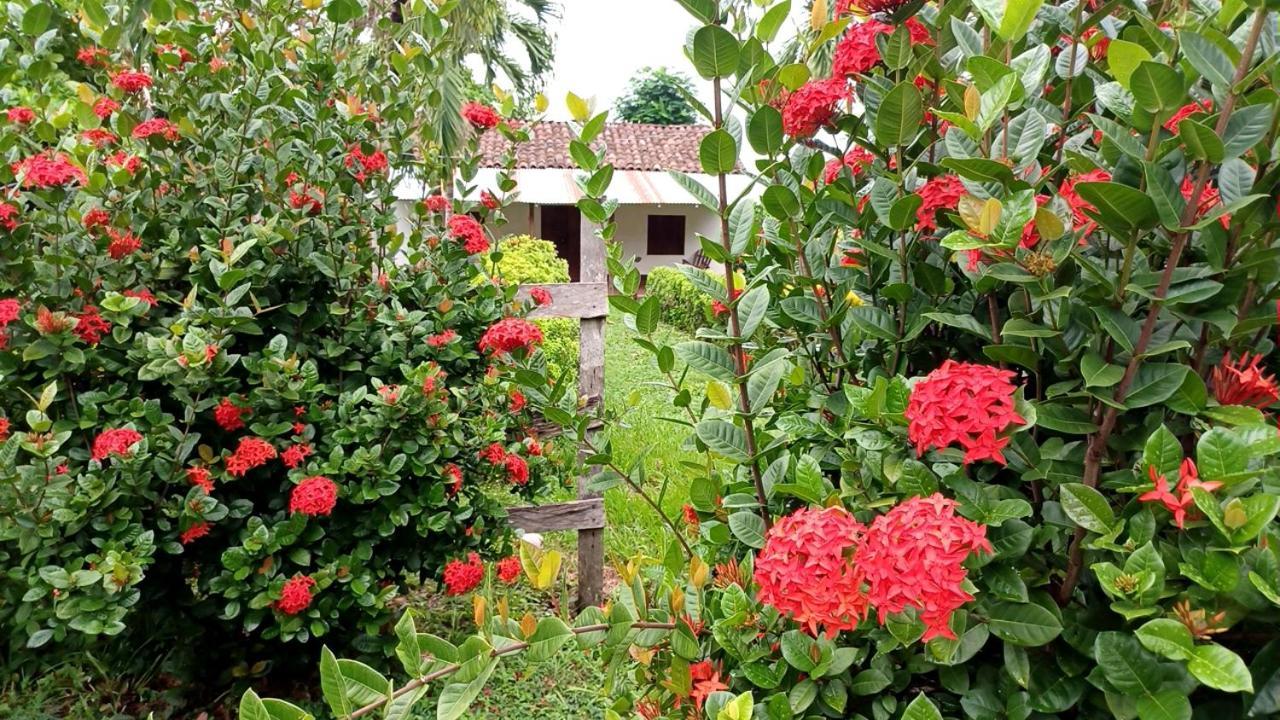 Finca Magdalena Eco Lodge Balgue Bagian luar foto