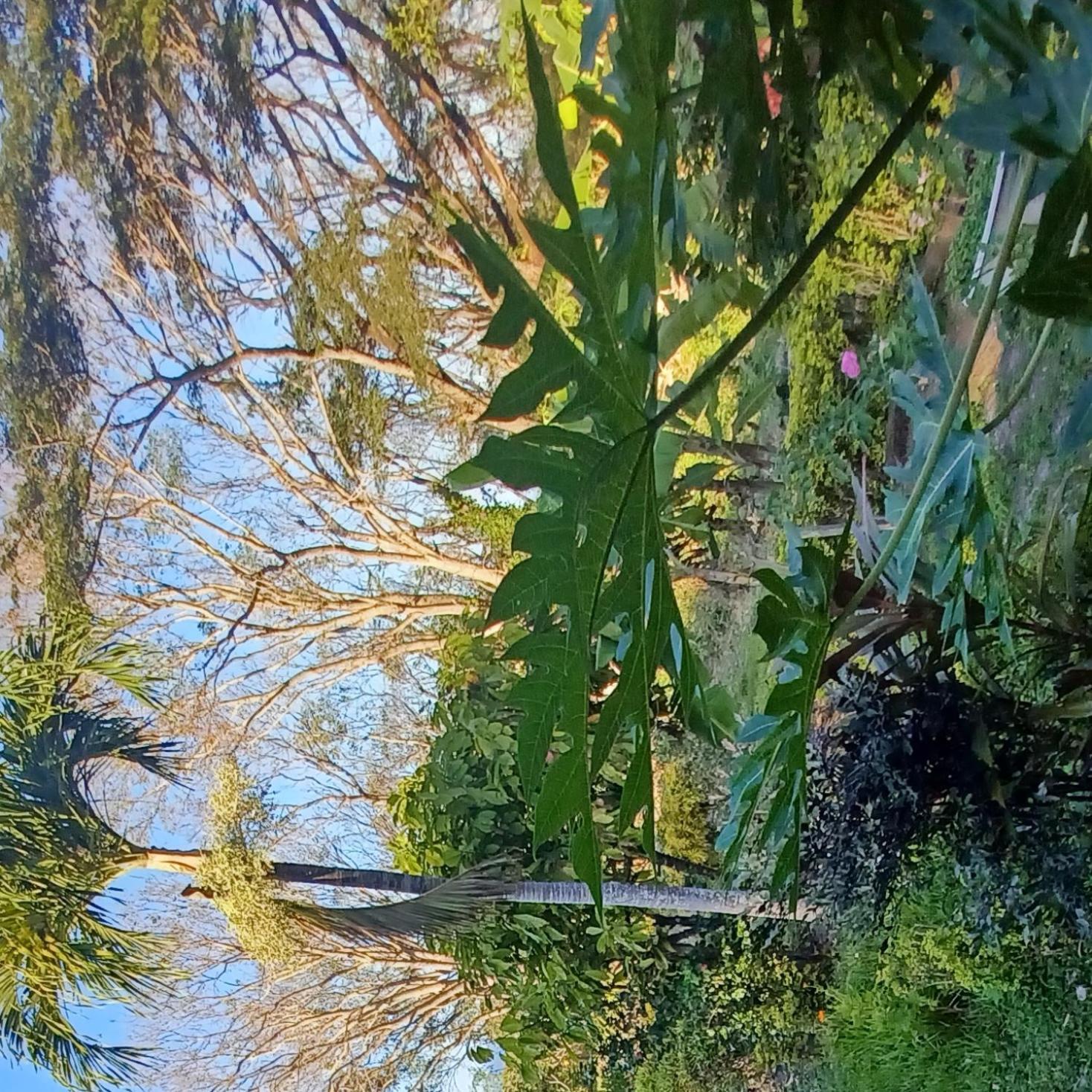 Finca Magdalena Eco Lodge Balgue Bagian luar foto