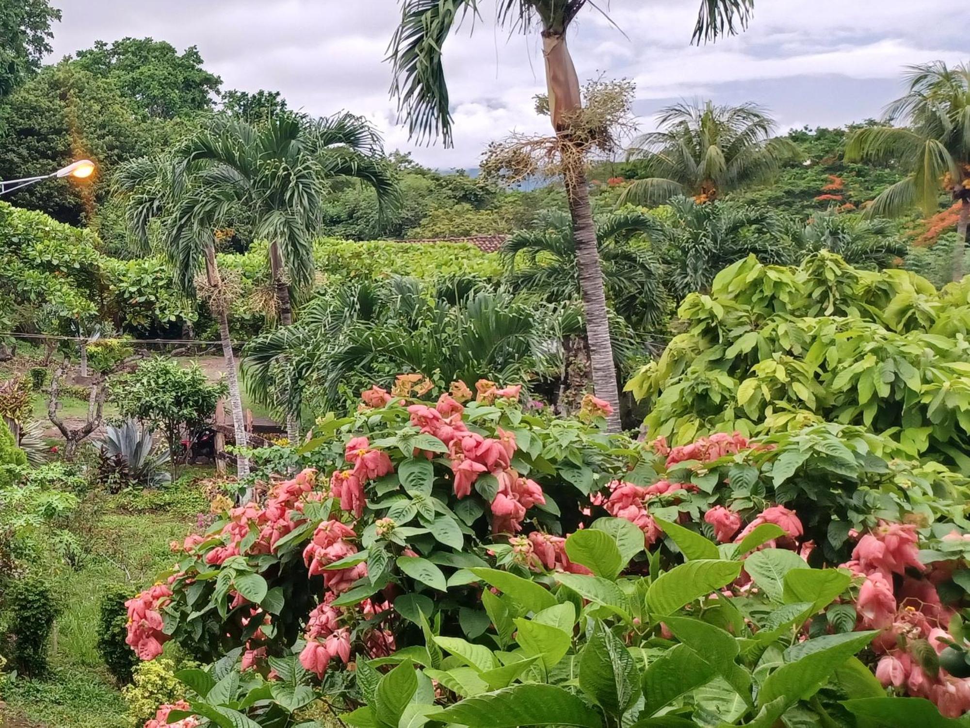 Finca Magdalena Eco Lodge Balgue Ruang foto