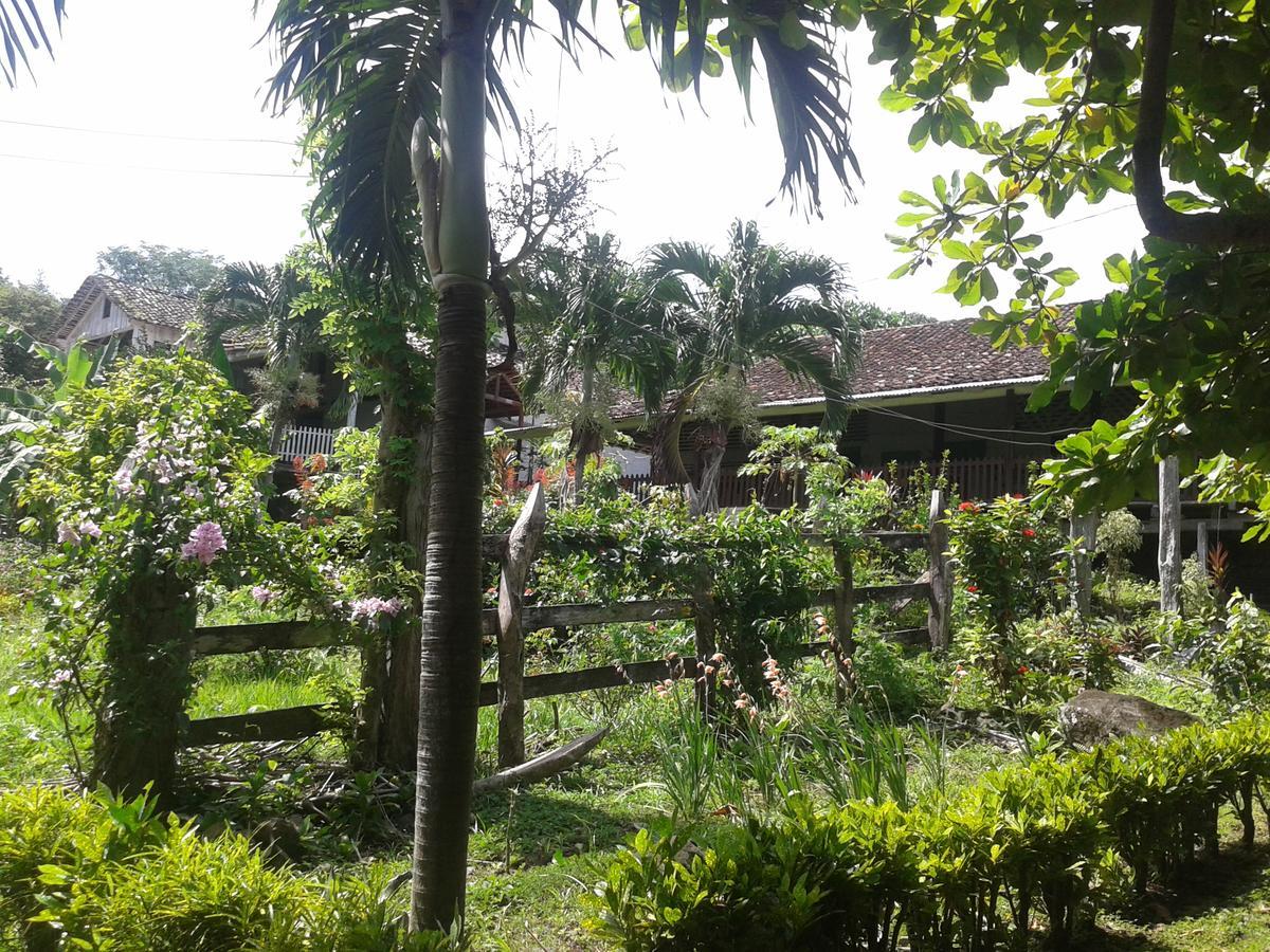 Finca Magdalena Eco Lodge Balgue Bagian luar foto