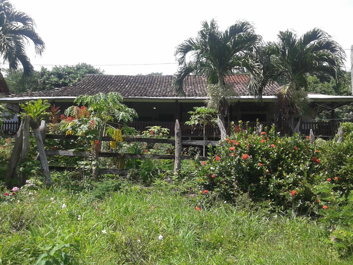 Finca Magdalena Eco Lodge Balgue Bagian luar foto